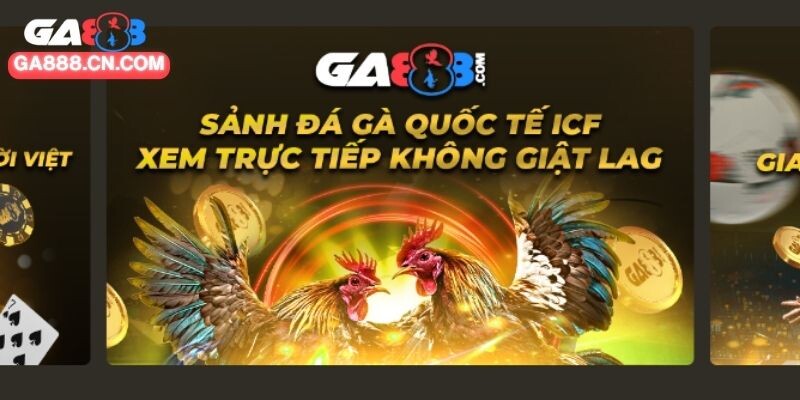 Vài nét khám phá về đá gà CPC4