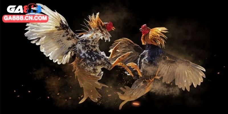 Khung cảnh chiến đấu đẫm máu, căng thẳng